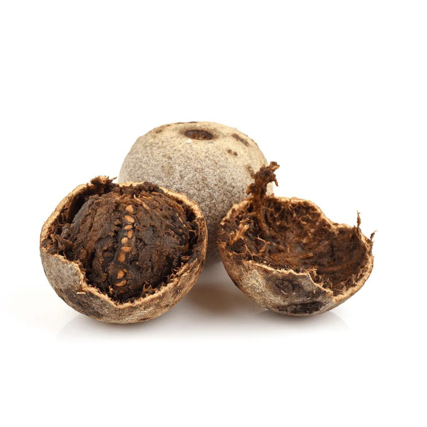 5 Leaves (Panchapatra) Bael (Wood apple) Rare Grafted Live Plant