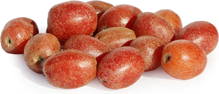 Silver Berry Live Plant (Elaeagnus Commutata)