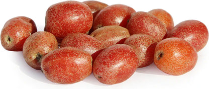 Silver Berry Live Plant (Elaeagnus Commutata)