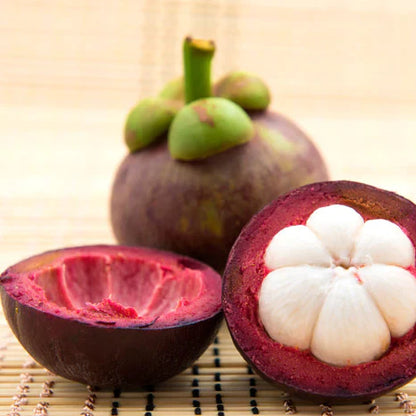 Mangosteen Fruit Live Plant (Garcinia Mangostana)