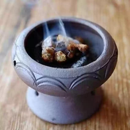 Indian Frankincense (Boswellia serrata) Live Plant