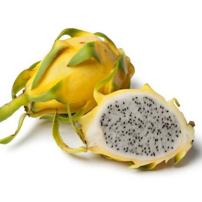 Israel Yellow Dragon Fruit Live Plant