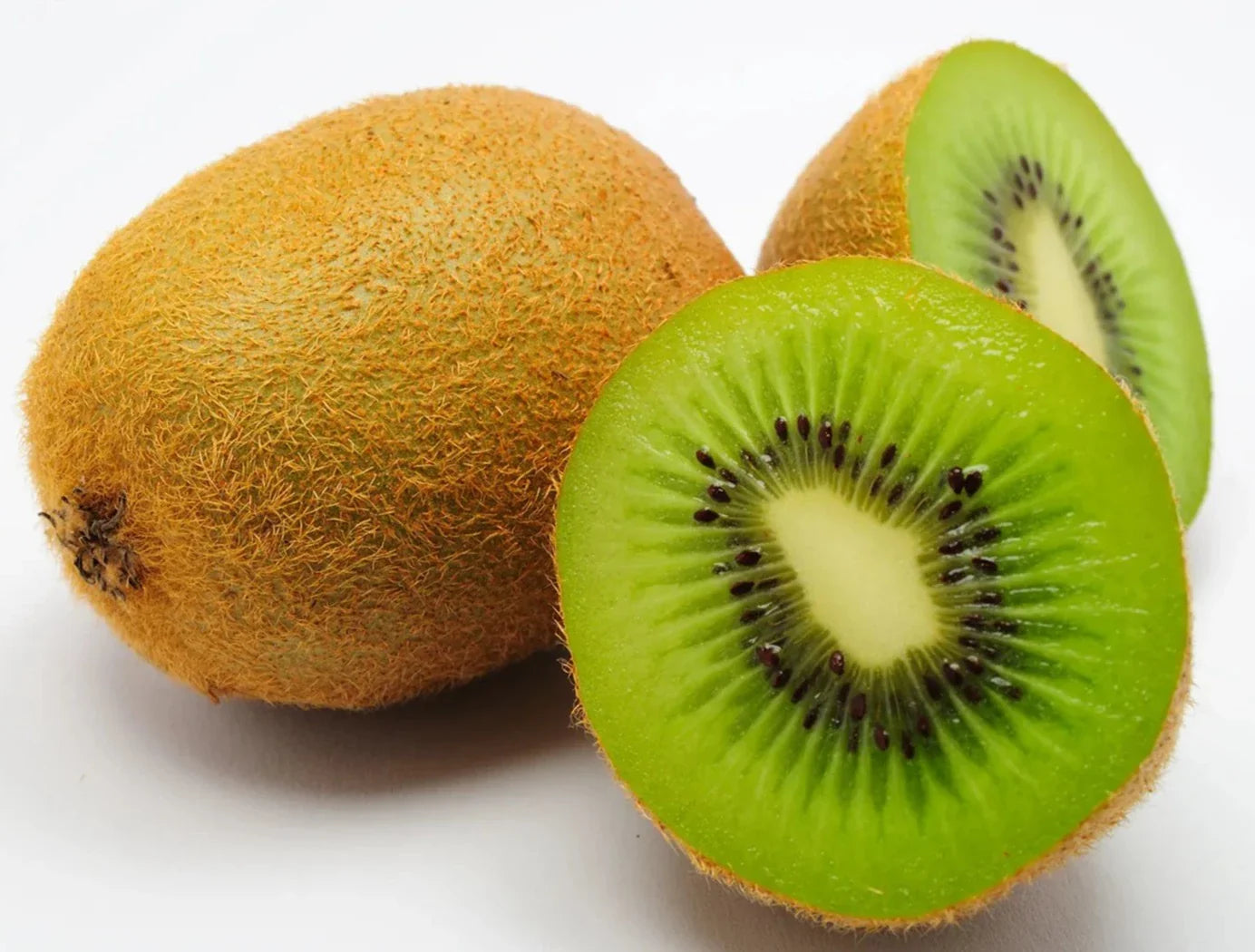 Kiwi Fruit (Actinidia deliciosa) Live Plant