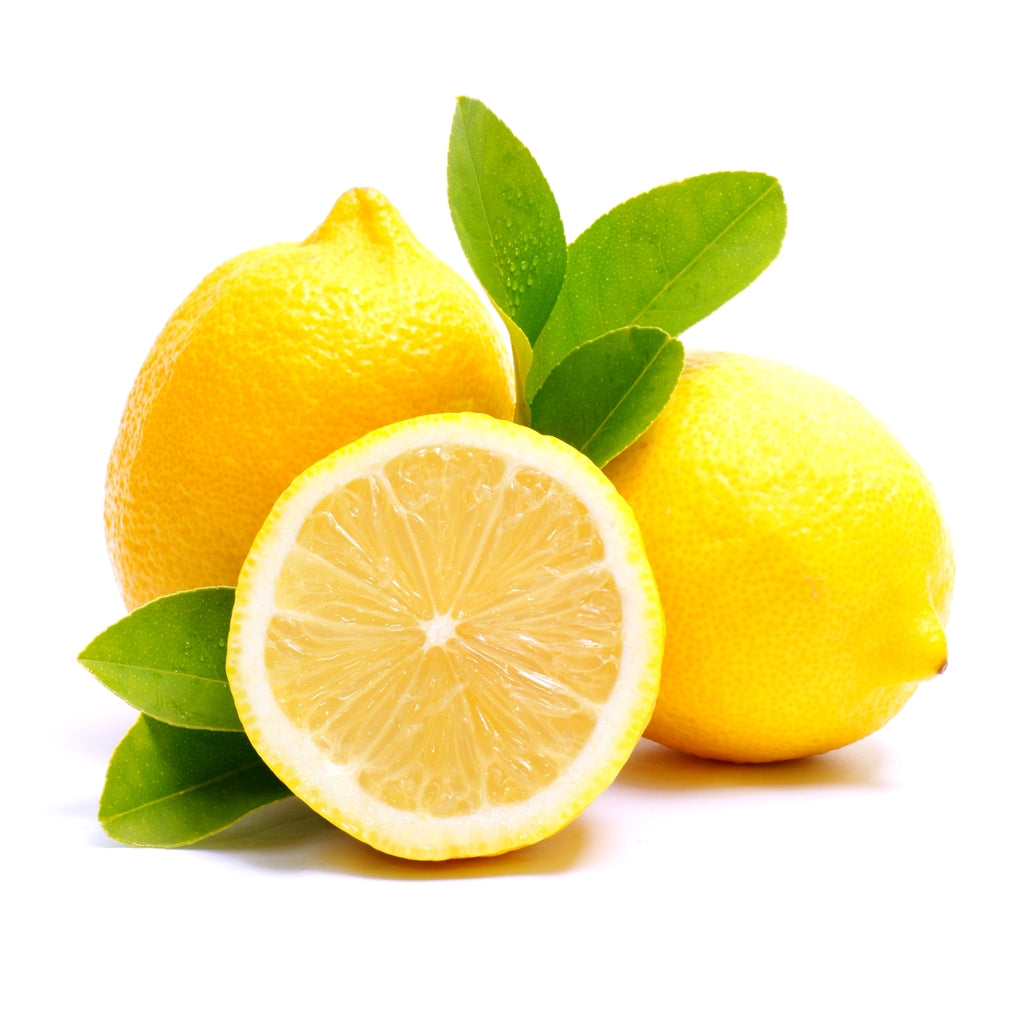 Lemon (Citrus Lemon) Live Plant