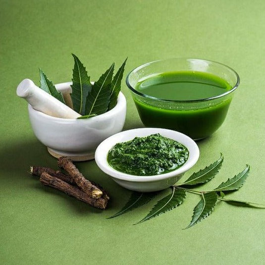 Neem (Margosa) Live Plant