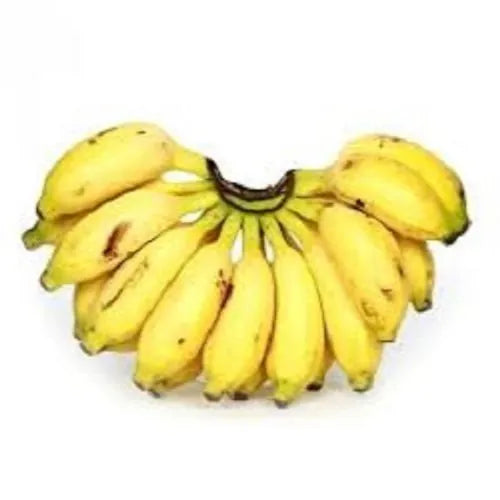 Kaveri Banana(Pisang Lilin) Live Plant