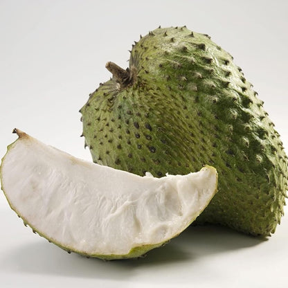 Giant Soursop (Less Seeds) Fruit Live Plant