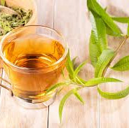 Lemon Verbena Herb/ Medicinal Live Plant