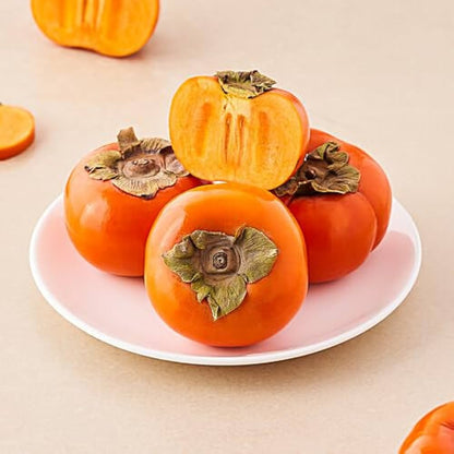 Persimmon  Fruit Live Plant