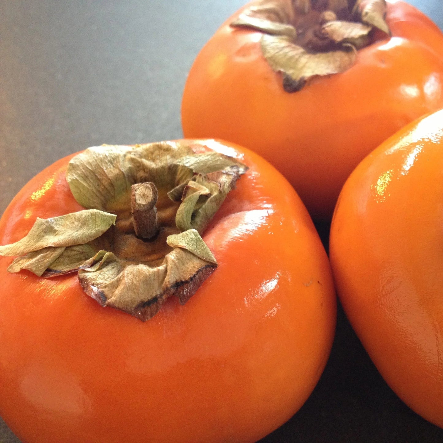 Persimmon  Fruit Live Plant
