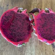 Dragon Fruit Red Jaina (Deep Red Flesh) Sweet Variety Rooted Plant
