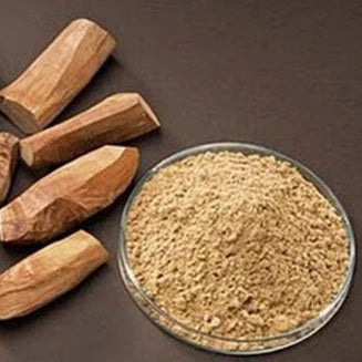 Sandalwood (Sandal) Santalum album Live Plant